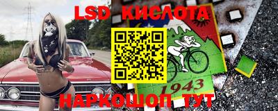 стаф Можга