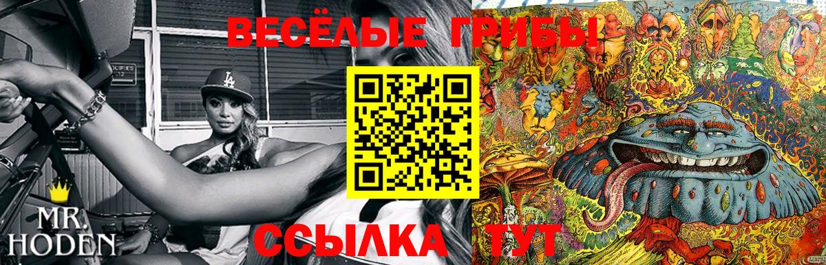 Псилоцибиновые грибы мицелий  Псилоцибиновые грибы прущие грибы  Шарыпово  Вход с VPN 